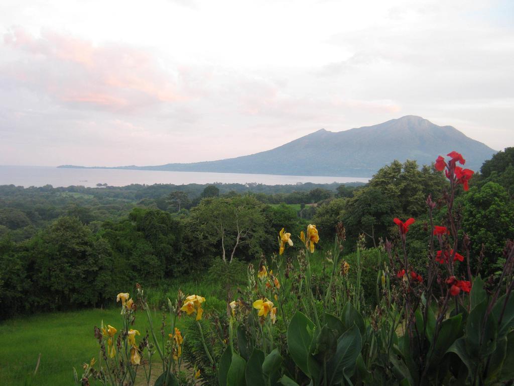 Готель El Mirador Ecologico, Ometepe Altagracia Екстер'єр фото